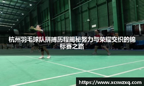 杭州羽毛球队拼搏历程揭秘努力与荣耀交织的锦标赛之路